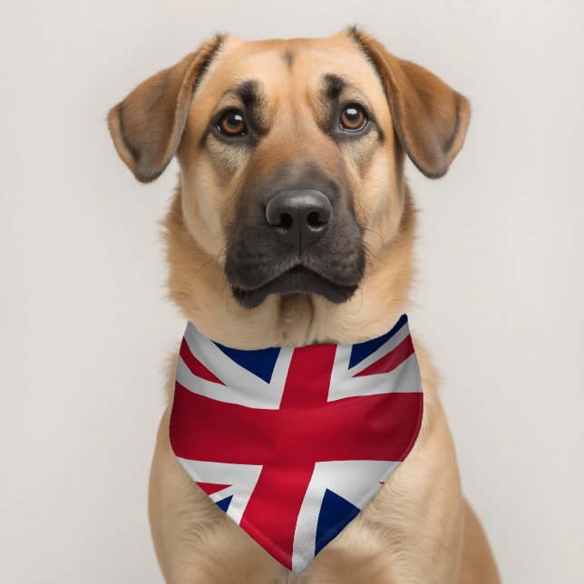 UNION JACK ENGLAND FLAG PET BANDANA COLLAR (Dog 2)