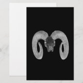 unique and handmade goat skull (Front/Back)