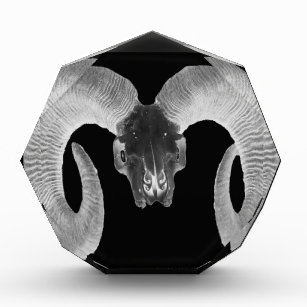 unique and handmade  goat skull acrylic award