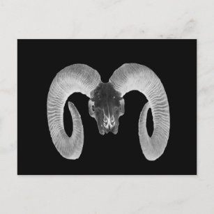 unique and handmade  goat skull postcard