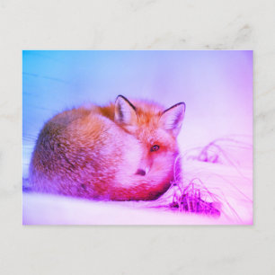 *~* Unique Animal Red Fox Ap18 Artistic Wildlife  Postcard