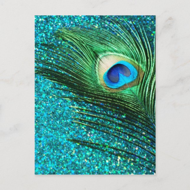 Unique Aqua Peacock Postcard (Front)