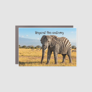 Unique Artistic Magnets of Unrealistic Animals