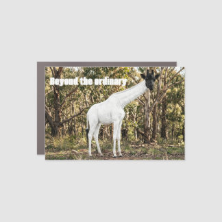 Unique Artistic Magnets of Unrealistic giraffe