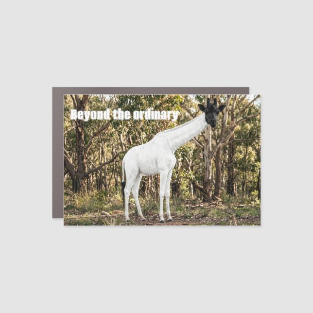 Unique Artistic Magnets of Unrealistic giraffe (Front)