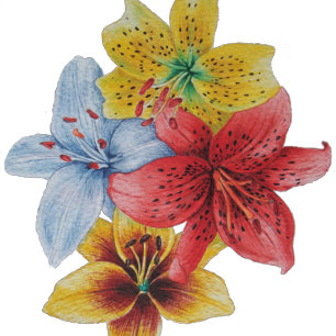 unique big and bold colorful flowers floral wash cloth