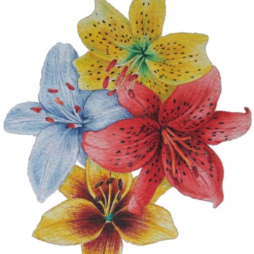 unique big and bold colorful flowers floral wash cloth