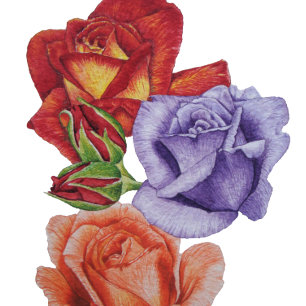 unique big and bold colorful rose flowers floral beach towel