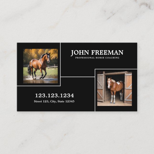 Unique Black and White Horses Photos Equine Business Card (Front)