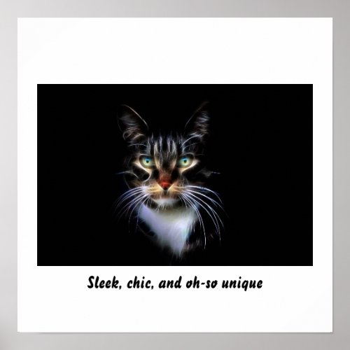 Unique black cat poster