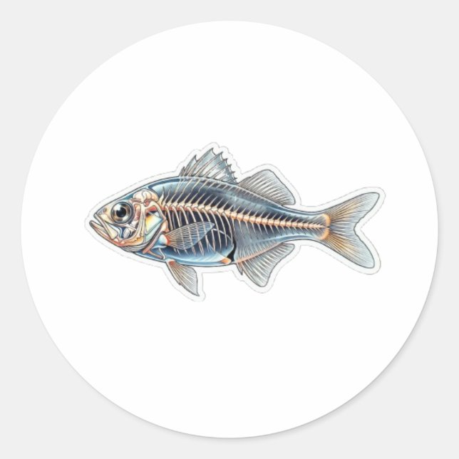 Unique Clear Glassfish Transparency Scientific Ill Classic Round Sticker (Front)