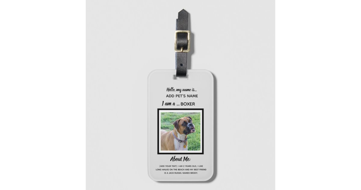 Unique Dog ID Tags Zazzle