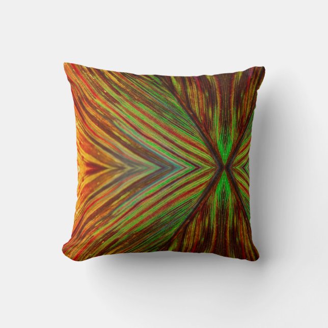 unique feather throw pillow (Front)
