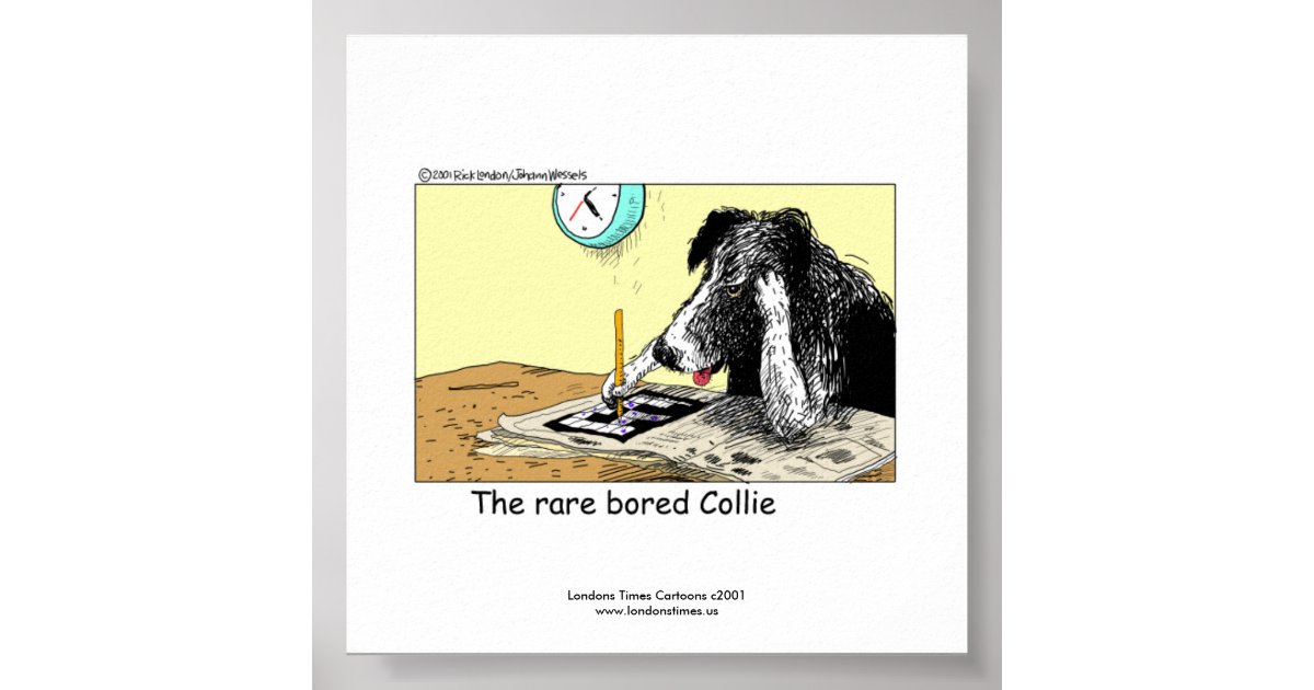 Unique Funny Border Collie Poster | Zazzle