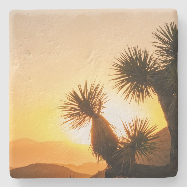 Unique Gift for Traveler with Desert Photo Stone Coaster (Front)