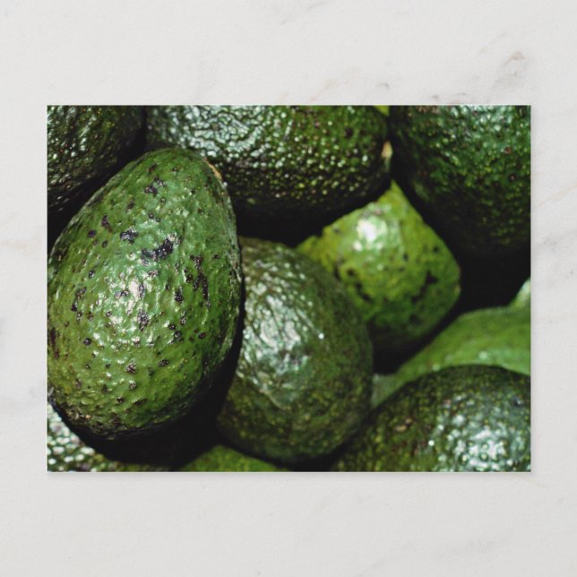 Unique Green avocado Postcard (Front)