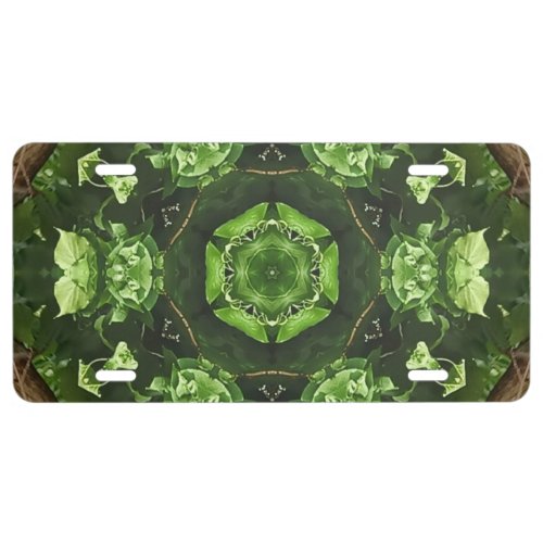 Unique Green Brown Abstract  License Plate