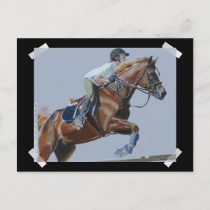 Unique Hunter/Jumper Painting Postcard