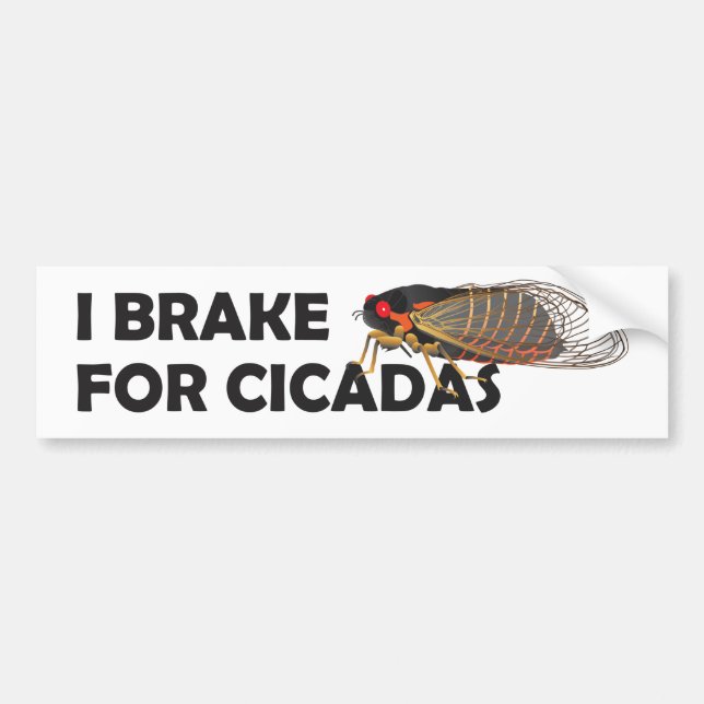 Unique "I Brake for Cicadas" Bumper Sticker (Front)