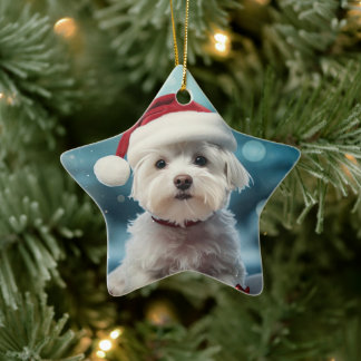 Unique Maltese Christmas, Gift For Dog Lovers Ceramic Ornament