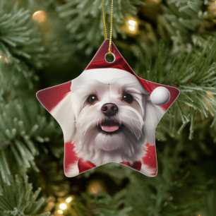 Unique Maltese Christmas, Gift For Dog Lovers Ceramic Ornament