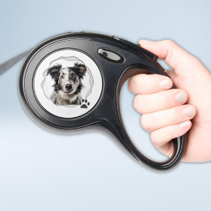 Unique Modern Dog Photo Retractable Pet Leash