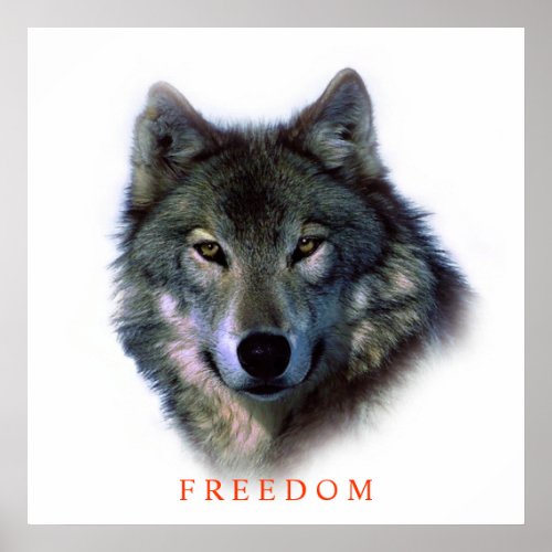 Unique Motivational Freedom Wolf Poster