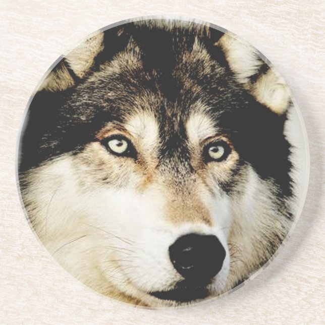 Unique Motivational Wolf Drink Coaster (Front)