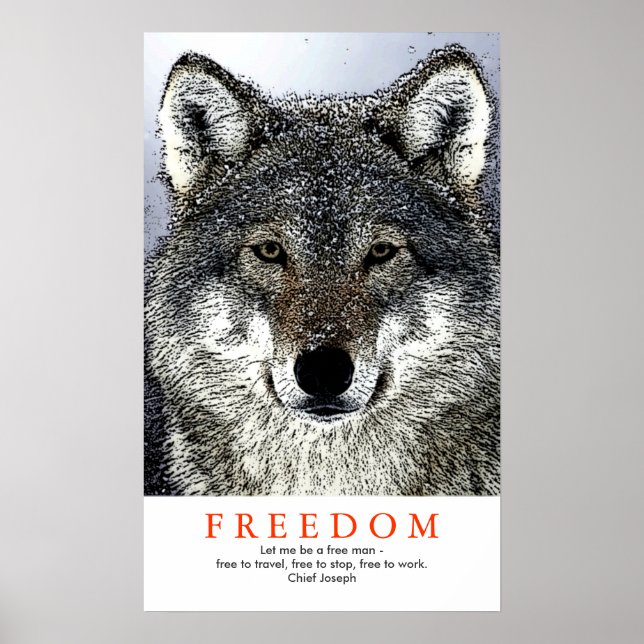 Unique Motivational Wolf Indian Quote Print (Front)