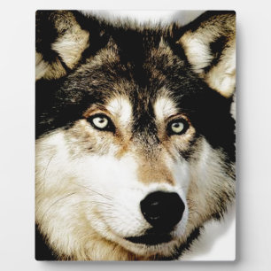 Unique Motivational Wolf Plaque
