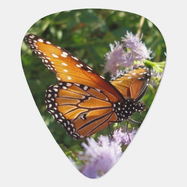 Unique Orange Monarch Butterfly Close-up Photo Guitar Pick (Front)