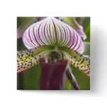 Unique Orchid Button