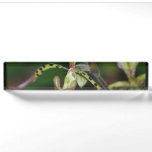 Unique Orchid Name Plate