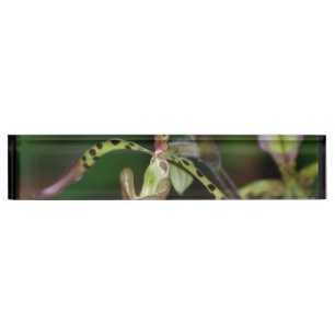 Unique Orchid Name Plate