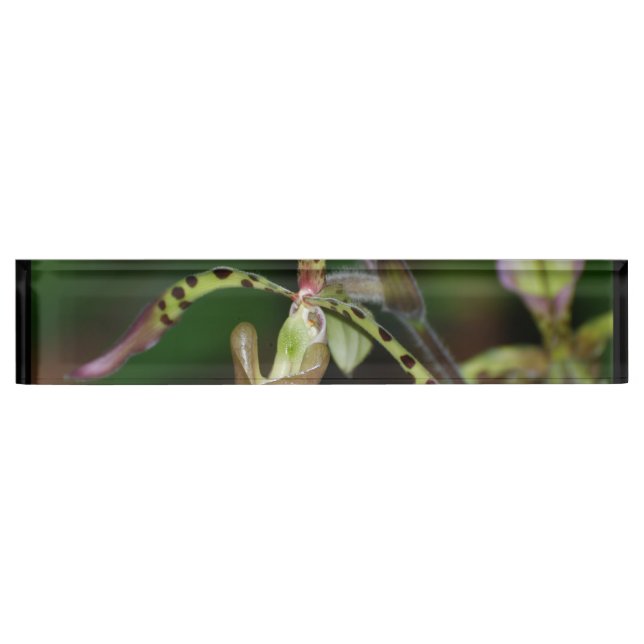 Unique Orchid Name Plate (Front)