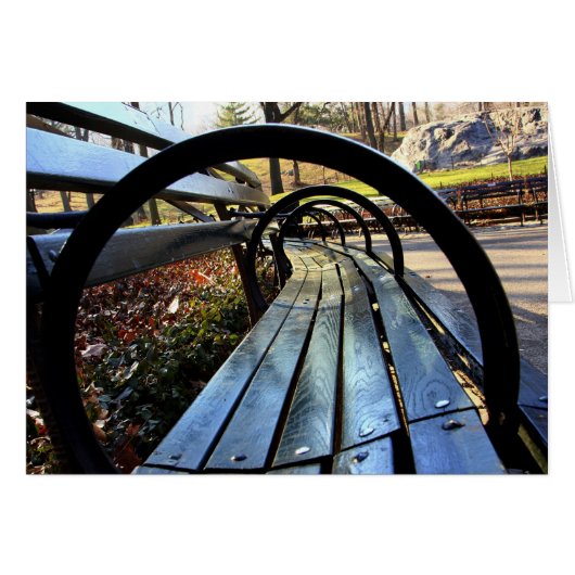 Unique Park Bench in Central Park, NYC Cards (Front Horizontal)