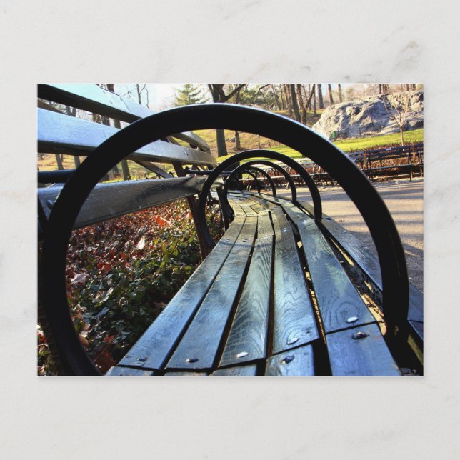 Unique Park Bench in Central Park, NYC Postcard (Front)