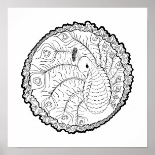 Unique Peacock Art Coloring Poster
