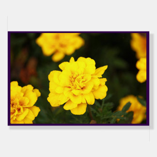 Unique person NO.7 Foam Boards