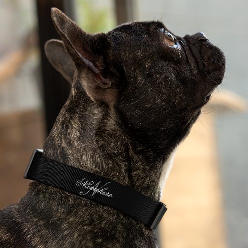 Unique Personalized Black and White Name Monogram Pet Collar