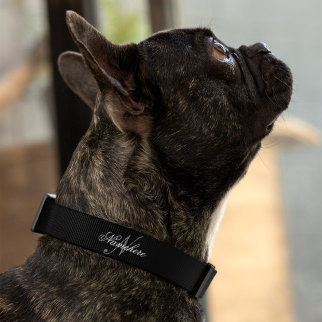 Unique Personalized Black and White Name Monogram Pet Collar (Creator Uploaded)