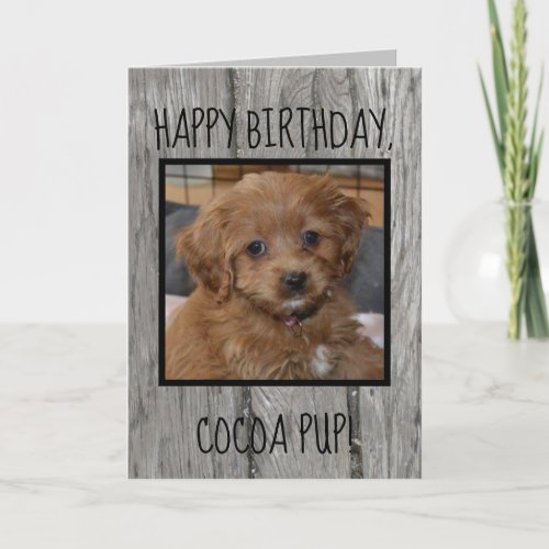 Unique Pet Birthday from Owner Photo Dog Cat Text