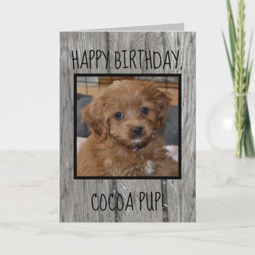 Unique Pet Birthday from Owner Photo Dog Cat Text Card