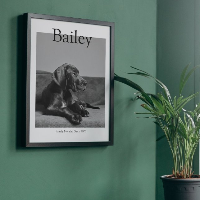 Unique Pet Portrait Magazine Custom Photo Poster (Creator Uploaded)