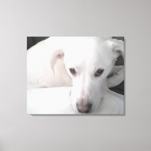 Unique Photo of White Labrador Retriever Mix Dog Canvas Print