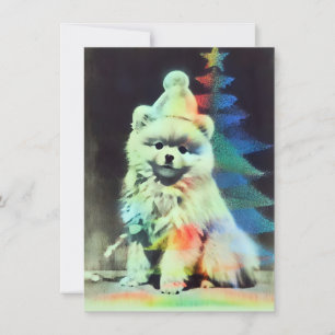 Unique Pomeranian Christmas Cards