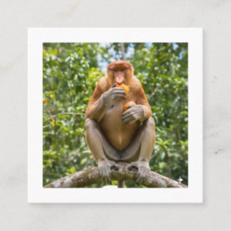 Unique Proboscis Monkey Borneo Wildlife Sticker Square Business Card
