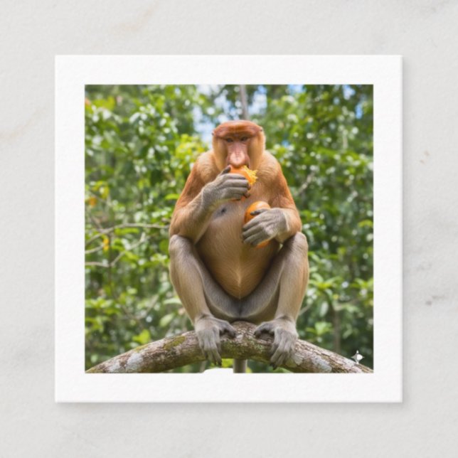 Unique Proboscis Monkey Borneo Wildlife Sticker Square Business Card (Front)