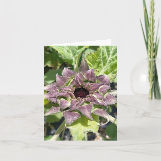 Unique Purple Sunflower Note Card (Front)