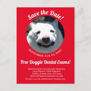 Unique Red Smiling Dog Pet Care Event Reminder Postcard